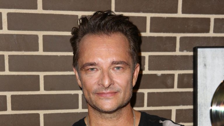 David Hallyday, “martyrized”, no longer hides anything about his divorce from Estelle Lefébure: “Another man…”