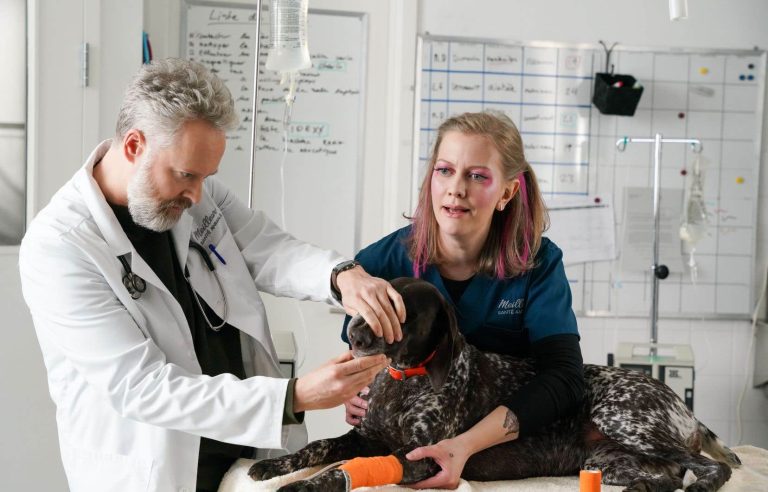 “Dog Time”: Vet Nightmare on Air