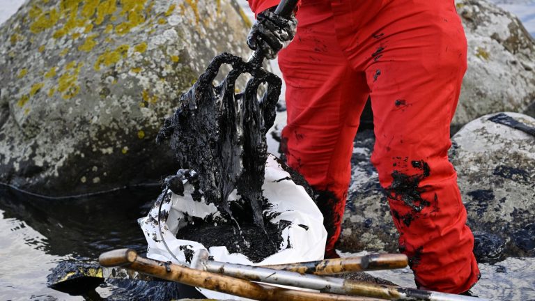 European Union reaches agreement to toughen legislation on environmental crimes