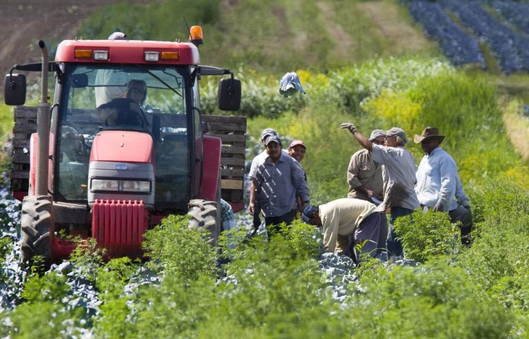 Foreign workers: integrate by developing their social fabric