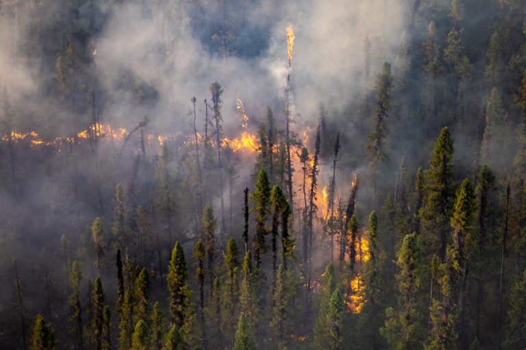 Forest fires |  Quebec will “learn lessons”, but not other air tankers for the moment