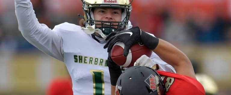 Ground success for the Stingers against the Carabins: “It’s not as if they had found the secret of the Caramilk”