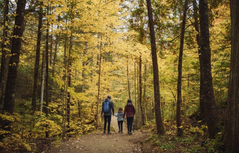 Hikes to enjoy the last breaths of autumn