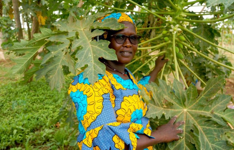 In Mali, Diaba Fané grows papayas to achieve food autonomy