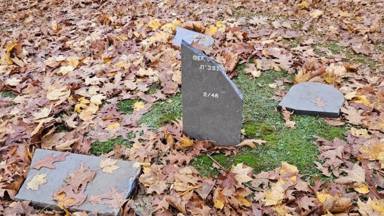 “It is truly a despicable act”, condemns the organization which manages German military cemeteries abroad