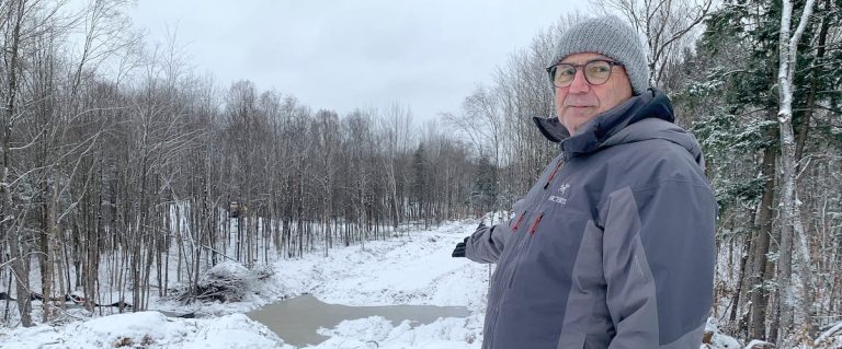 “It’s horrible”: citizens of the Laurentians denounce deforestation near a lake