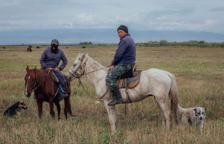 Kazakhstan, stuck between the Russian bear and the Chinese dragon