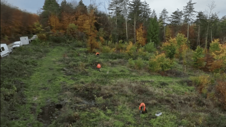 Meuse: near Verdun, a national forest is reborn