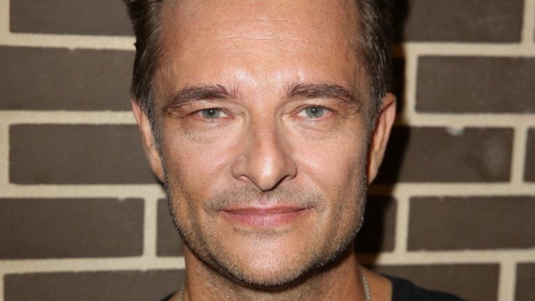 Moment of embarrassment at Laurent Delahousse when David Hallyday makes a surprising admission about Laeticia and Johnny