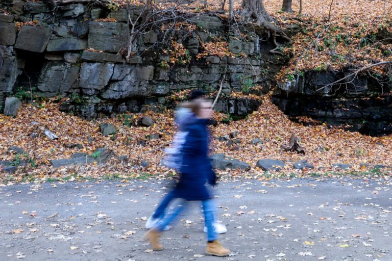 Montreal |  Geological trip on Mount Royal