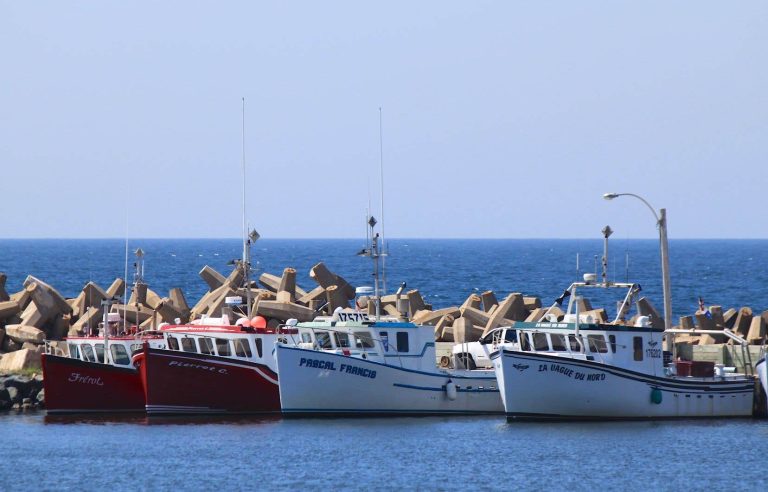 Ottawa doesn’t know if fisheries are overexploiting fish stocks