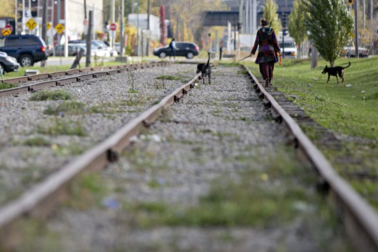 Quebec suspends consultations on the pink line