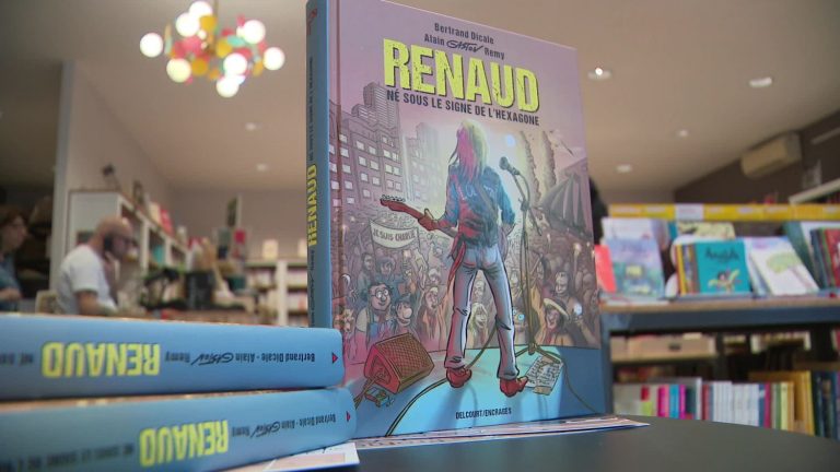 “Renaud, born under the sign of France”, the life and career of the singer in a graphic novel