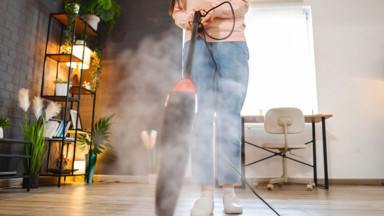 Steam mops: are they really efficient?