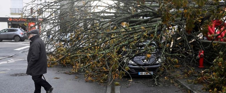 Storm Ciaran leaves one dead in the center of Madrid