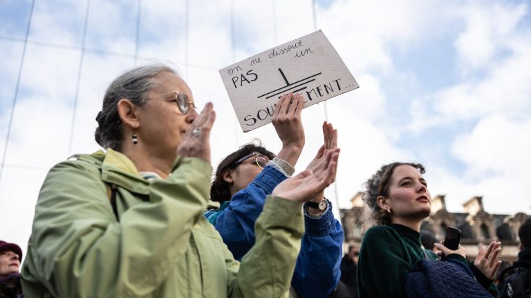 The Council of State cancels the dissolution of the radical environmentalist movement Les Soulèves de la Terre