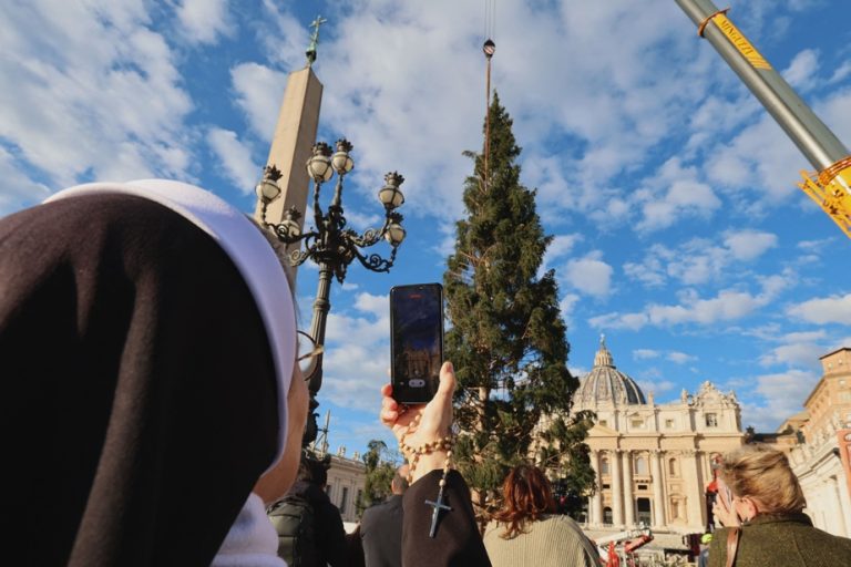 The Vatican installs its traditional Christmas tree