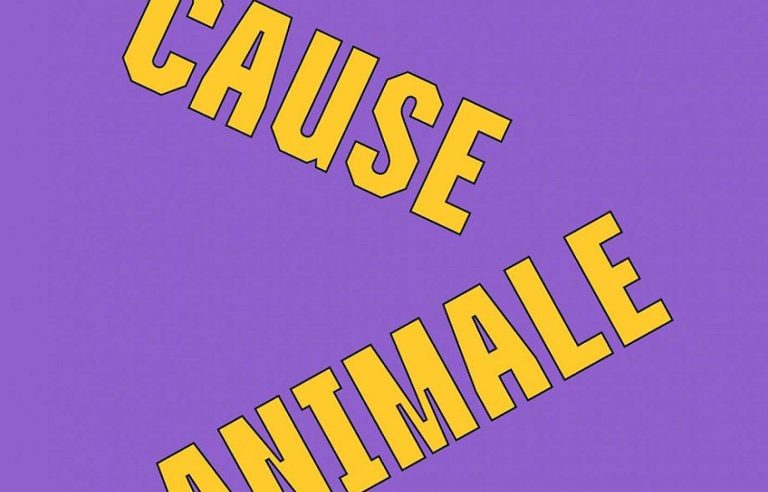 “The animal cause”, Alexia Renard