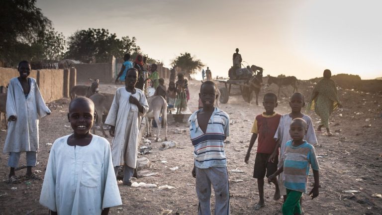 The organization Médecins sans Frontières calls for emergency food aid for Sudanese children who have taken refuge in Chad