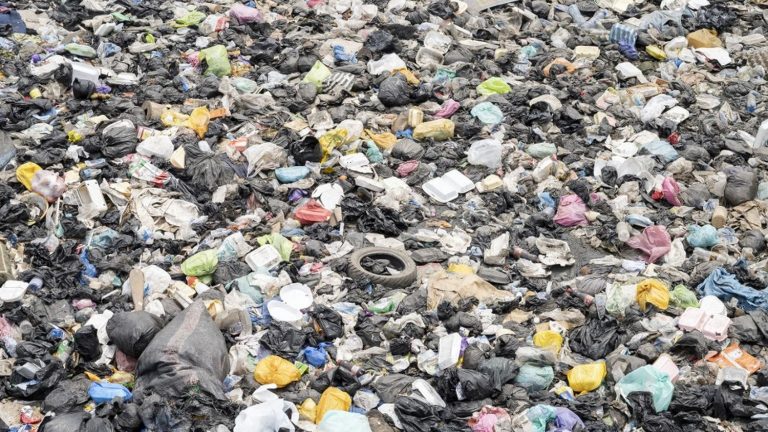 VIDEO.  Plastic pollution: how to get rid of it?