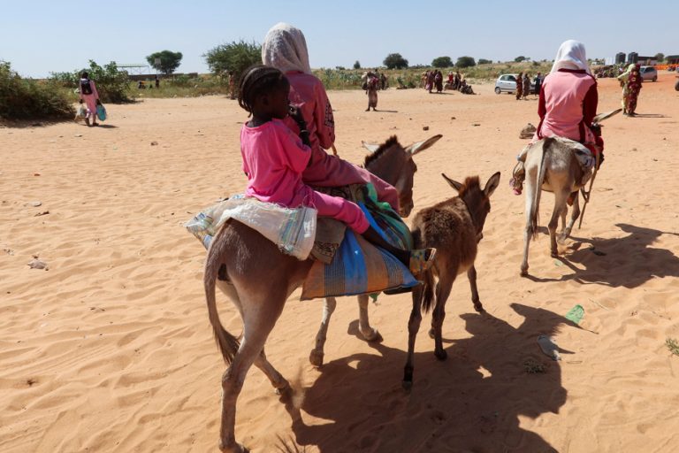 War in Sudan |  The UN is concerned about the “escalation” of inter-ethnic violence in Darfur