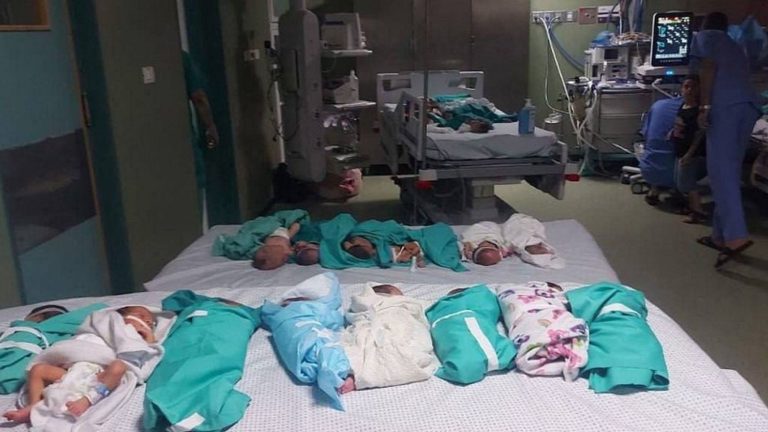 director of Gaza hospitals announces evacuation of 31 premature babies from al-Chifa