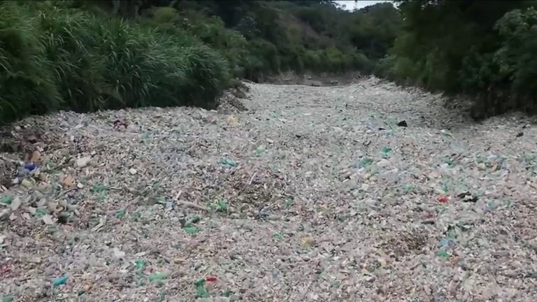 in Guatemala, a river covered in plastic