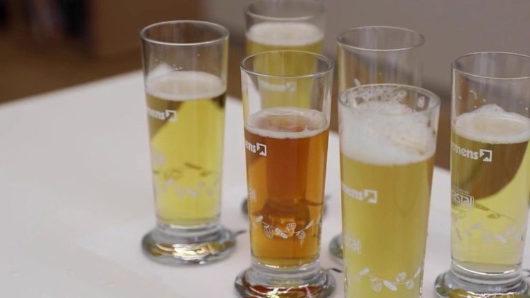 in Munich, students become beer sommeliers