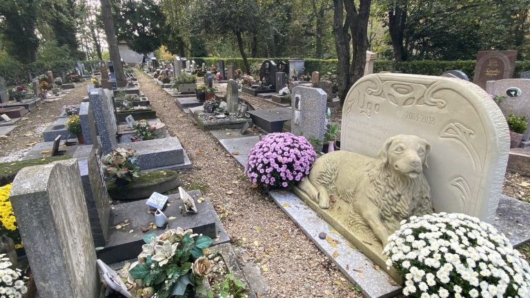 more and more French people are giving their pets a burial