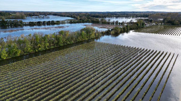 orange vigilance for floods maintained in Charente-Maritime on Saturday