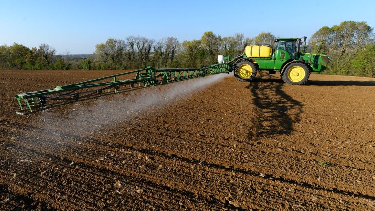 the European Commission will renew the authorization of the herbicide for ten years, due to lack of agreement between EU member countries