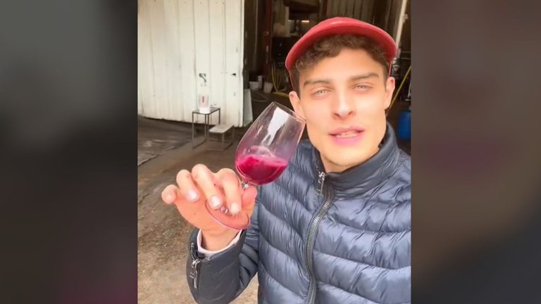 we asked a TikTok star winemaker