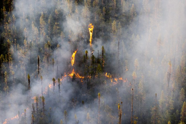 “10 weather events” of 2023 |  Forest fires dominate Canadian rankings