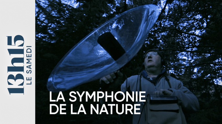 “1:15 p.m. Saturday.”  The symphony of nature