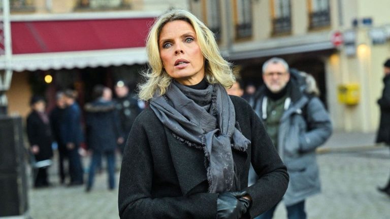 A relative of Elodie Gossuin and Geneviève de Fontenay atomizes Sylvie Tellier, “a toxic ex who returns”