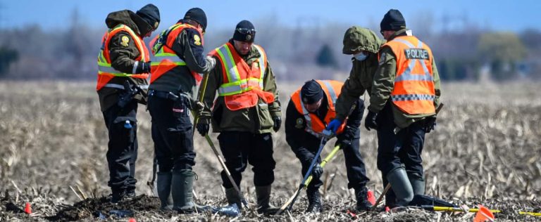 Body found in a field in Montérégie: a 15-year-old teenager accused of murder