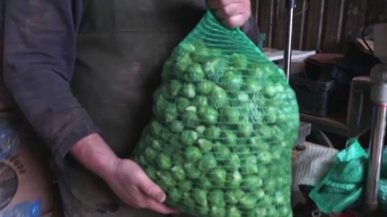 Brussels sprouts, star of the holidays in the United Kingdom