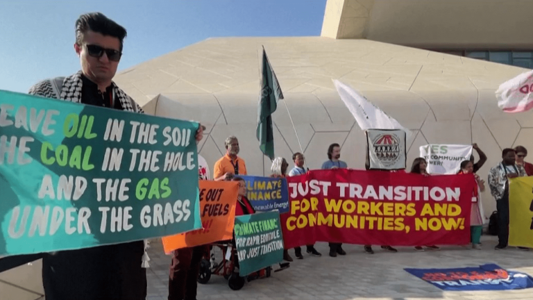 COP 28: activists demonstrate in Dubai