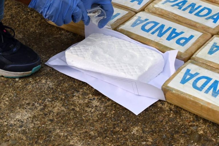 Cocaine market |  Colombia in decline in favor of new players, says report