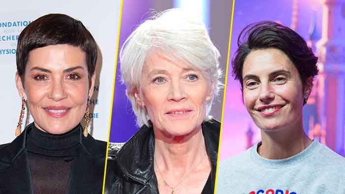 Cristina Cordula, Françoise Hardy, Alessandra Sublet… before Miss France 2024, Eve Gilles, these stars already sported the boyish cut!