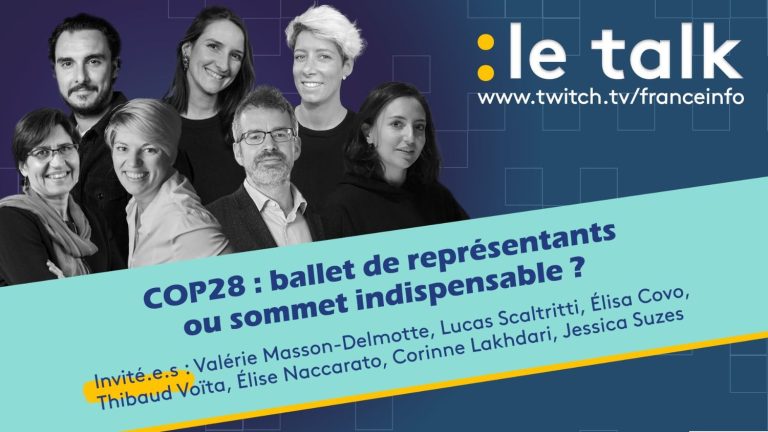 DIRECT.  COP 28: ballet of representatives or essential summit?