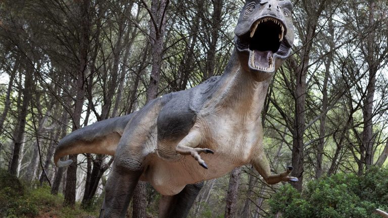 Humans age faster than other animals because of dinosaurs, study finds