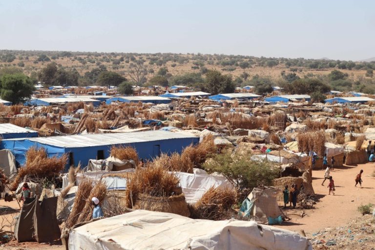 In Chad refugee camps, Sudanese survivors recount the horror of Darfur