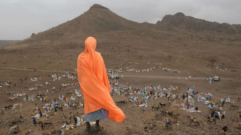 In Nantes, the exhibition “a world to heal” brings together 600 photographs taken during humanitarian actions of the Red Cross