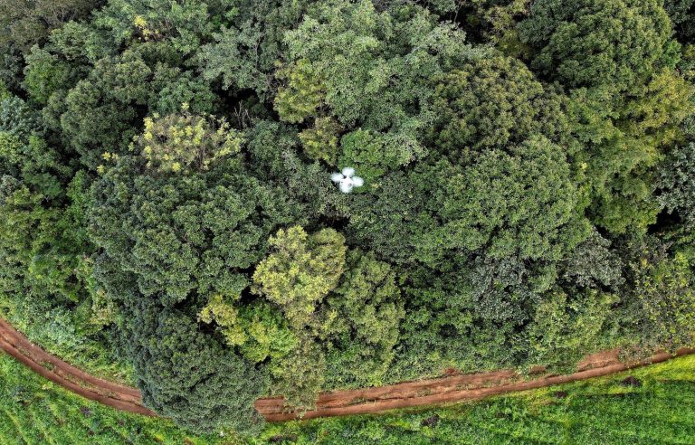 In Thailand, drones to better understand the role of forests against global warming