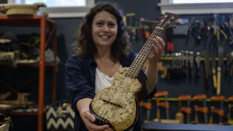 In the United States, a French luthier makes eco-friendly mushroom guitars