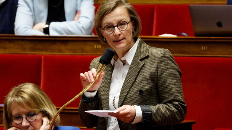 “It is our responsibility to persevere and succeed in what the French ask of us” reacts Renaissance MP Stella Dupont