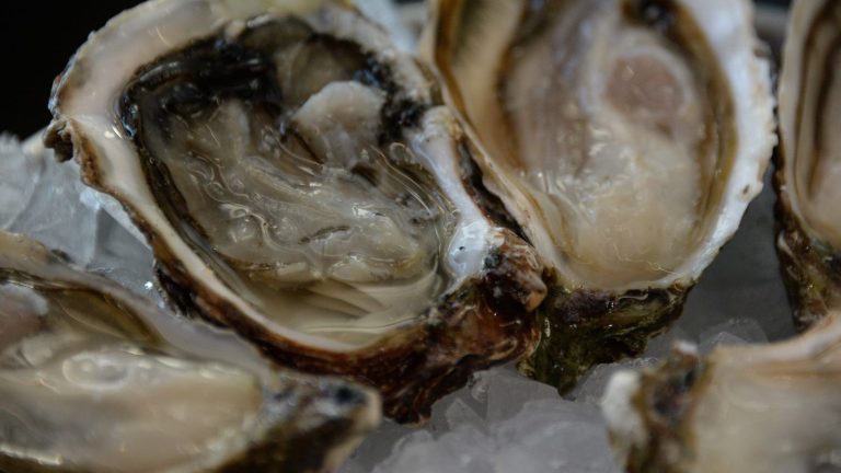 “It’s the worst time for oyster farmers,” laments the mayor of Arès