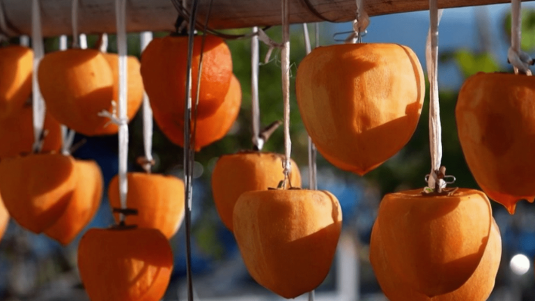 Japan: persimmon, a fruit that is eaten in a thousand ways