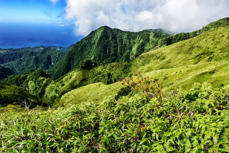 Martinique |  Pelée, head in the clouds